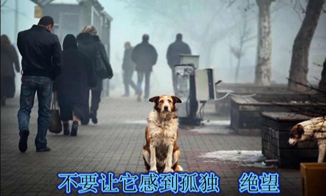 新余爱影圈微博微信转发案例